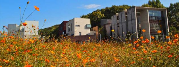 Concrete modern two and three story buildings at the Heyri Artists Village in Paju, Korea.