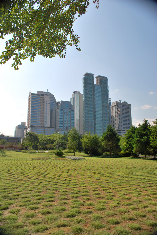 View across grassland towards tall skyscrapers with trees in front of them on a bright sunny day.