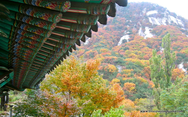 View of fall colors from under a temple overhang in Bukhansan National Park. To the right of the frame, green, gold, and reddish-brown foliage, to the left, a multicolored wooden overhang.