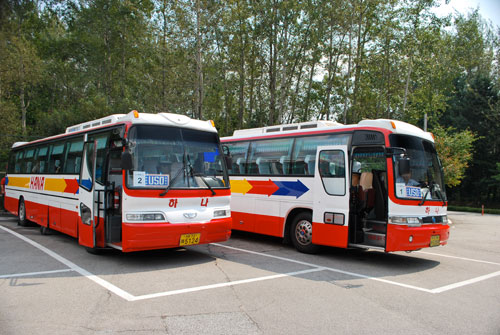 Two red and white DMZ tour buses parked on tarmac with trees in the background.