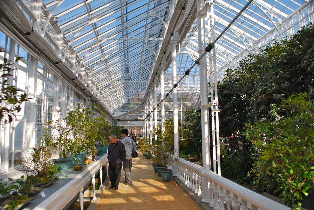 A walkway inside Daeonsil glass house, to the left of the frame is a shelf with small plants in pots, to the center is a brick walkway with people looking at the plants, and to the right of the frame is tall vegetation. Through the glass roof, blue sky is visible.