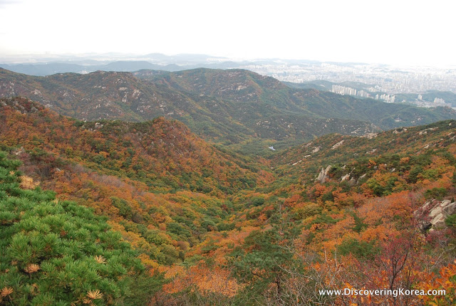Slopes of Gwanaksan showing fall colors with city in the background.