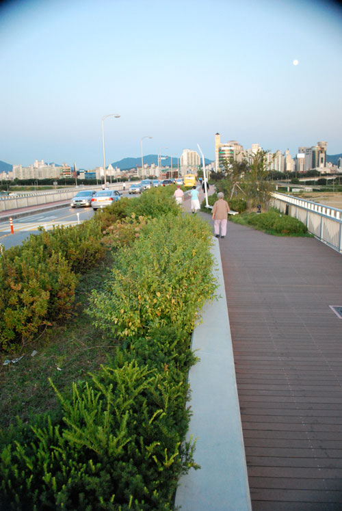 View across the Gwangnaru pedestrian bridge, with bushes on the left of the frame, a man walking, and the city of Seoul in the distance.