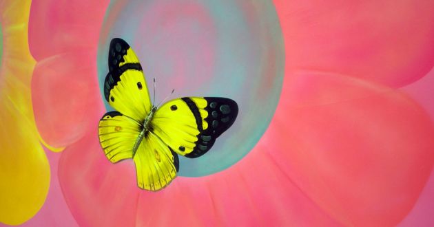 A painting of a yellow butterfly with black tipped wings on a background of a red flower, with a light blue center.