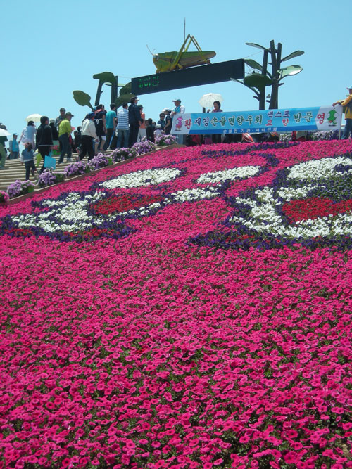 The Hampyeong Butterfly Festival in Korea | Discovering Korea