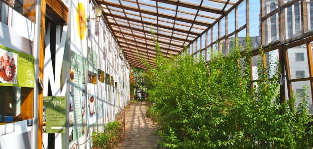 View down a pathway covered by a glass ceiling with wood slats, to the left of the frame is a white wall covered with signs, to the right is green bushes and a glass wall.