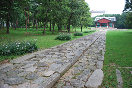 A stone pathway with grass to the right of the frame, and grass and pine trees to the left of the frame, going towards a wooden building with a curved roof of the Jangjagak Shrine.