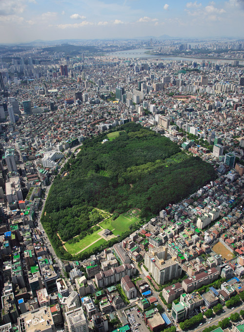 Aerial view of Seoul's Samneung park, a large green space in the middle of the city, the river can be seen in soft focus in the background.