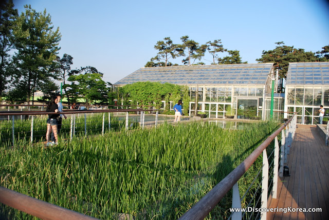 Two glasshouses in the background containing trees, in the foreground, green vegetation and two people walking through.