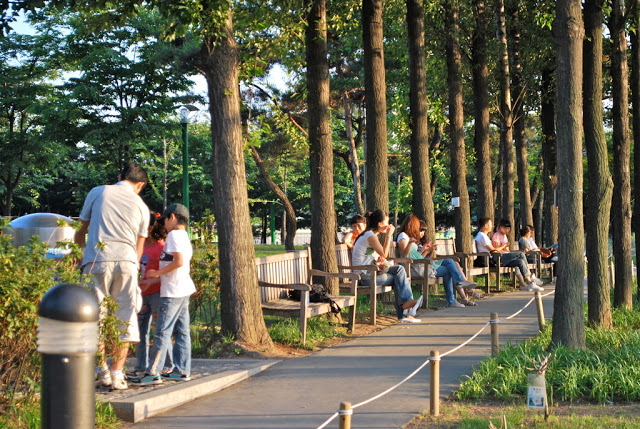 A sidewalk between rows of trees in Seonyudo park, with people sitting on benches to the left of the frame. To the right is a low rope fence and grass.