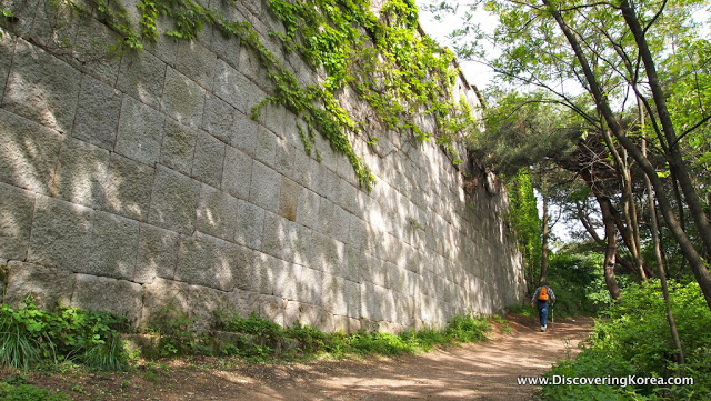 A hiker on a path at Seoul fortress. To the left of the frame is a large stone block wall, with ivy, to the left is the forest.