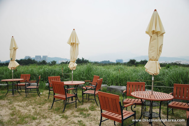 Tables, chairs and umbrellas set up amongst long grasses in Haneul park, with views of the city in the distance.