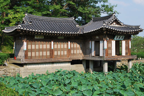 The Hwallaejeong Pavilion juts out over a lotus pond at Seongyojang. A wooden building with traditional curved roof surrounded by lotus leaves in the foreground and trees in the background in bright sunshine.