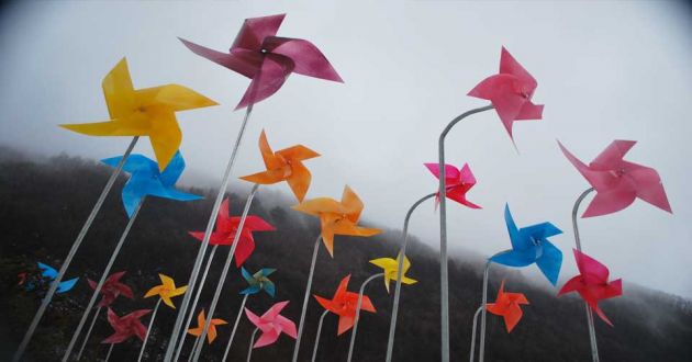 A close up of a collection of paper windmills in various different colors on a half dark half light background in soft focus.
